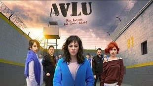 Avlu 