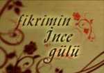 Fikrimin İnce Gülü 8. Bölüm